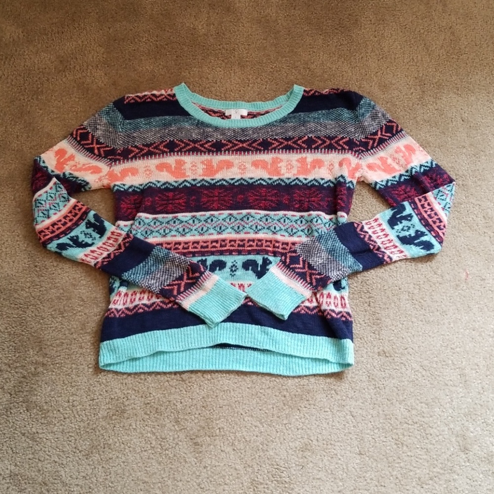 Fun Squirrel Sweater